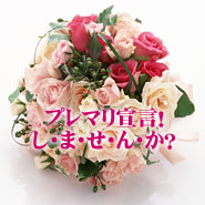 �v���}���錾�I���E�܁E���E��E��