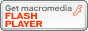 Macromedia Flash�v���O�C���̃_�E�����[�h�̓R�`������ǂ����I